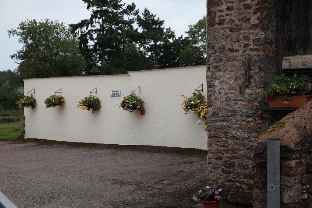 Bed and Breakfast Weir Mill Farm Cullompton Exteriér fotografie